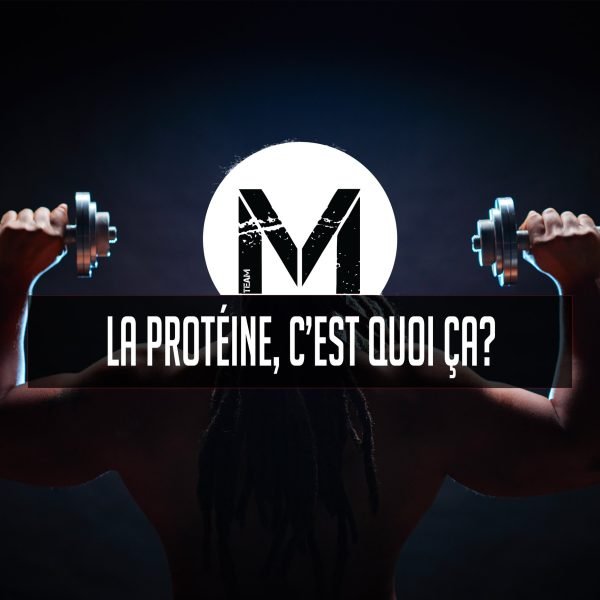 La protéine, c’est quoi ça ? - Minotaure Nutrition 