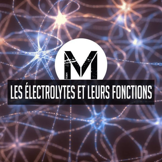 Les éléctrolytes et leurs fonctions - Minotaure Nutrition 