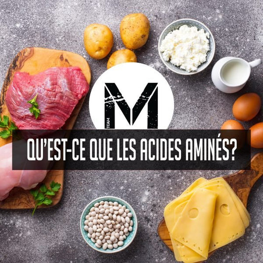 Qu’est-ce qu’un acide aminé en bref. - Minotaure Nutrition 